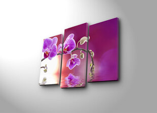 Kolmeosaline reproduktsioon Purpurne orhidee цена и информация | Репродукции, картины | hansapost.ee