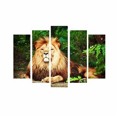 Viieosaline reproduktsioon Lõvid hind ja info | Seinapildid | hansapost.ee