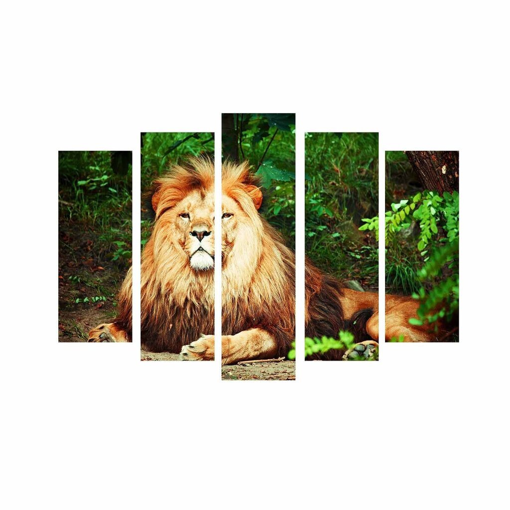Viieosaline reproduktsioon Lõvid цена и информация | Seinapildid | hansapost.ee