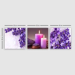 Kolmeosaline reproduktsioon Lavendel ja küünlad hind ja info | Seinapildid | hansapost.ee