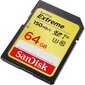 Mälukaart Secure Digital Extreme 64GB, 150/60MB/s цена и информация | Fotoaparaatide mälukaardid | hansapost.ee