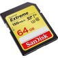 Mälukaart Secure Digital Extreme 64GB, 150/60MB/s цена и информация | Fotoaparaatide mälukaardid | hansapost.ee