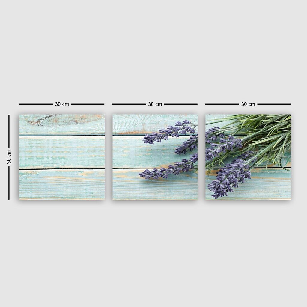 Kolmeosaline reproduktsioon Lavendel hind ja info | Seinapildid | hansapost.ee