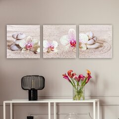 Репродукция из трех частей Орхидеи на песке цена и информация | Репродукции, картины | hansapost.ee