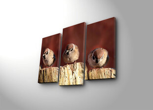Репродукция из трех частей Три птицы цена и информация | Настенные деревянные декорации | hansapost.ee