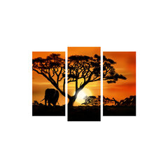 Репродукция из трех частей Африканский пейзаж цена и информация | Настенные деревянные декорации | hansapost.ee