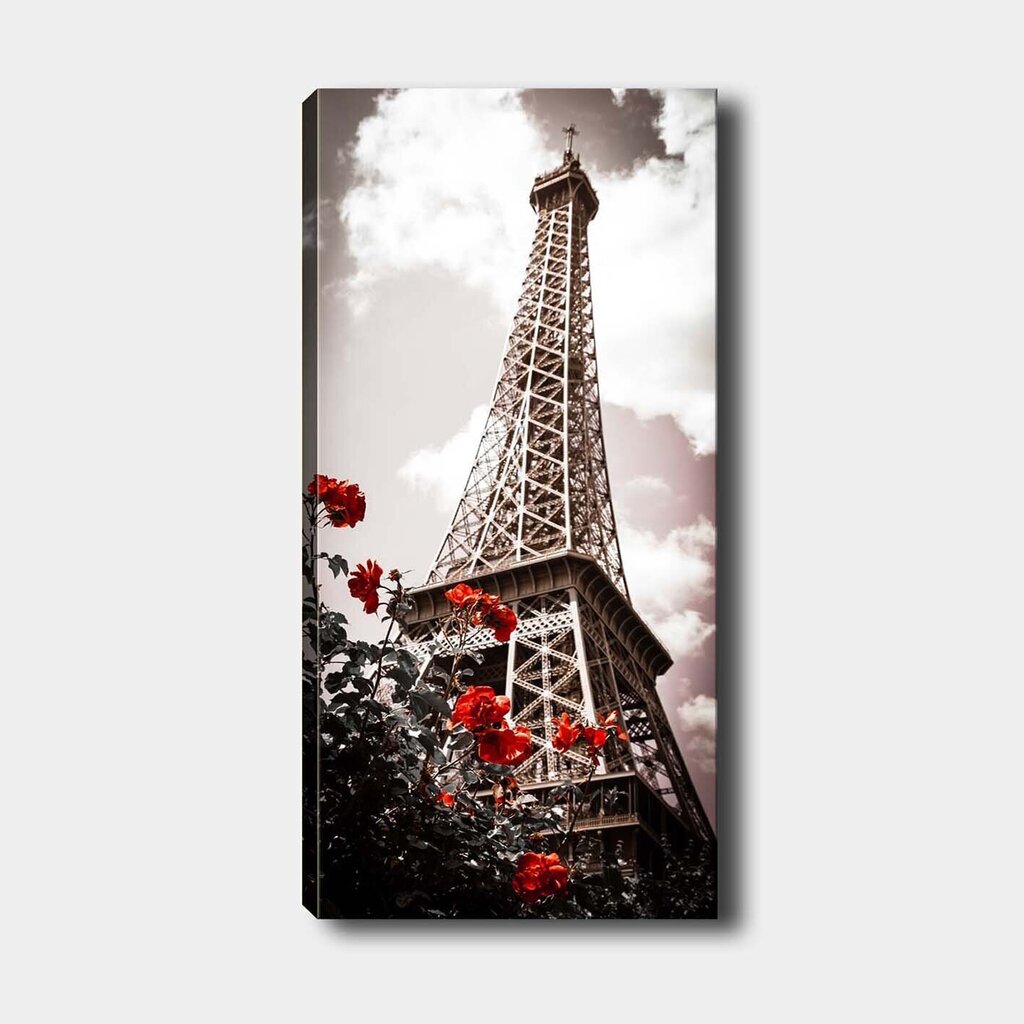 Pilt Eiffeli torn цена и информация | Seinapildid | hansapost.ee