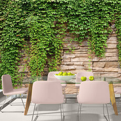 Fototapeet - Ivy wall price and information | Photo wallpapers | hansapost.ee