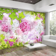 Fototapeet - Peonies цена и информация | Фотообои | hansapost.ee