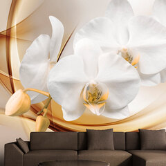 Fototapeet - Orchid blossom hind ja info | Fototapeedid | hansapost.ee
