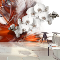 Fototapeet - Orchid on fire II hind ja info | Fototapeedid | hansapost.ee