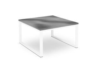 Уличный стол Calme Jardin Nicea L, серый/белый цена и информация | Садовые столы, столики | hansapost.ee
