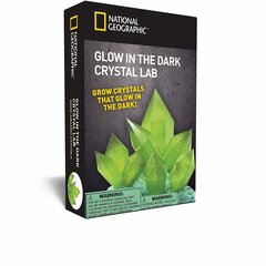 Teadusmäng Kristalli kasvatamine National Geographic Crystal Grow Green, NGGIDCRYSTAL hind ja info | Arendavad laste mänguasjad | hansapost.ee