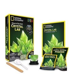 Научная игра Выращивание кристалла National Geographic Crystal Grow Green, NGGIDCRYSTAL цена и информация | Развивающие игрушки для детей | hansapost.ee