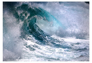 Fototapeet - Ocean wave цена и информация | Фотообои | hansapost.ee