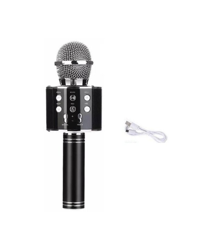 Karaokemikrofon, häält muutvate efektidega kõlar, WS-858 hind ja info | Arendavad laste mänguasjad | hansapost.ee