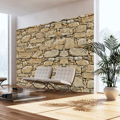 Fototapeet - Stone wall hind ja info | Fototapeedid | hansapost.ee