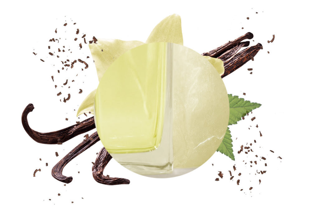 Kodulõhnastaja Carbaline "Vervain - Vanilla", 100 ml цена и информация | Lõhnapulgad ja kodulõhnastajad | hansapost.ee