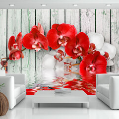 Fototapeet - Ruby orchid цена и информация | Фотообои | hansapost.ee