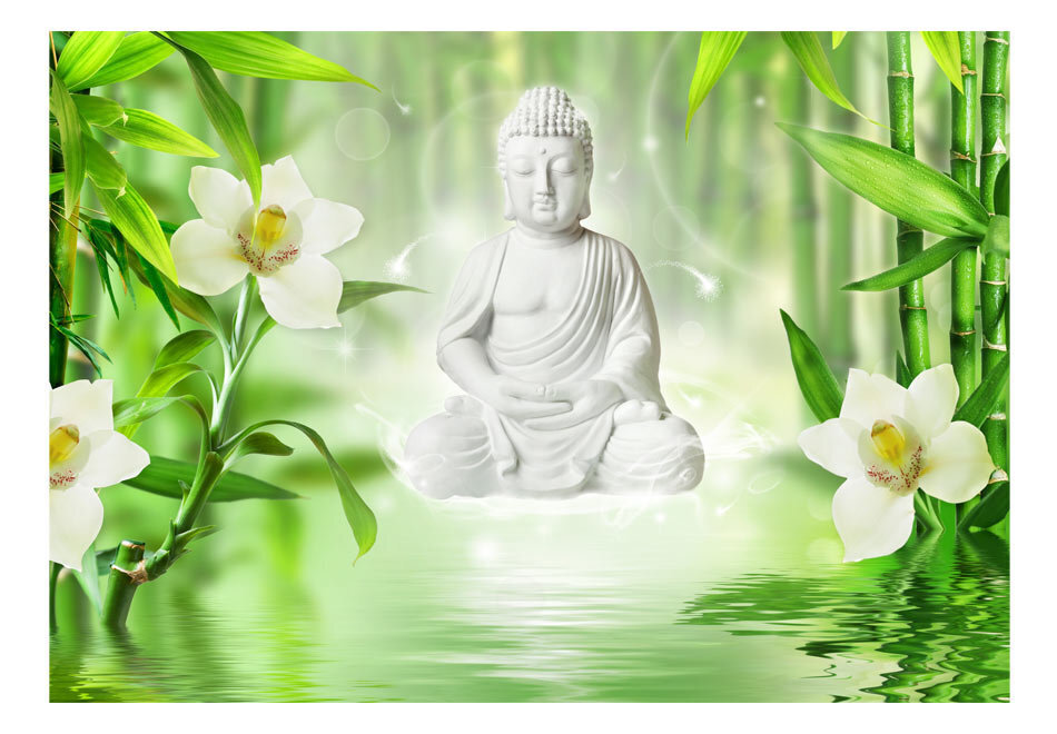 Fototapeet - Buddha and nature цена и информация | Fototapeedid | hansapost.ee