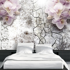 Fototapeet - Bright red orchids price and information | Photo wallpapers | hansapost.ee