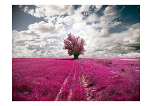 Fototapeet - Magenta meadow hind ja info | Fototapeedid | hansapost.ee