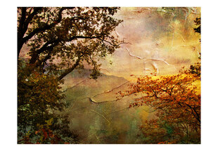 Fototapeet - Painted autumn hind ja info | Fototapeedid | hansapost.ee