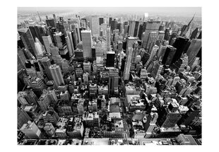 Fototapeet - USA, New York: black and white hind ja info | Fototapeedid | hansapost.ee