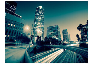 Fototapeet - The streets of Los Angeles hind ja info | Fototapeedid | hansapost.ee