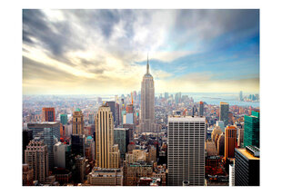 Fototapeet - View on Empire State Building - NYC hind ja info | Fototapeedid | hansapost.ee
