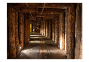 Fototapeet - Wooden passage hind ja info | Fototapeedid | hansapost.ee