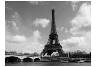 Fototapeet - Seine and Eiffel Tower hind ja info | Fototapeedid | hansapost.ee