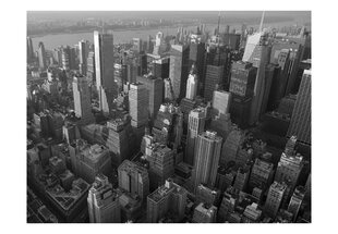 Fototapeet - New York: skyscrapers (bird's eye view) hind ja info | Fototapeedid | hansapost.ee