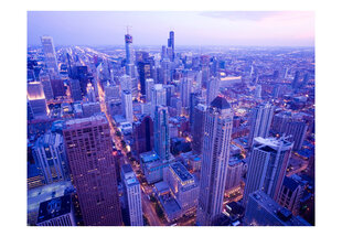 Fototapeet - Timid lights at dusk in Chicago hind ja info | Fototapeedid | hansapost.ee