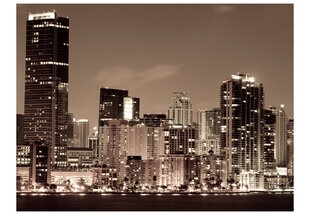 Fototapeet - Night life in Miami цена и информация | Фотообои | hansapost.ee