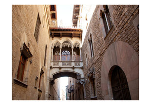 Fototapeet - Barcelona Palau generalitat in gothic Barrio hind ja info | Fototapeedid | hansapost.ee