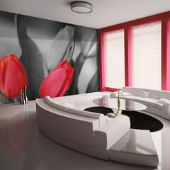 Fototapeet - Red tulips on black and white background цена и информация | Фотообои | hansapost.ee