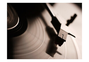 Fototapeet - Gramophone and vinyl record hind ja info | Fototapeedid | hansapost.ee