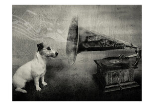 Fototapeet - Dog's melodies hind ja info | Fototapeedid | hansapost.ee
