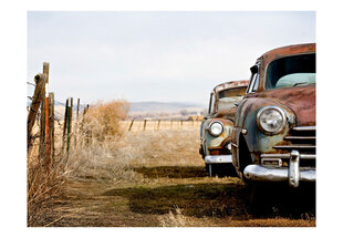 Fototapeet - Two old, American cars hind ja info | Fototapeedid | hansapost.ee