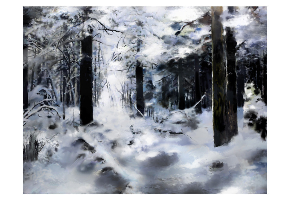 Fototapeet - Winter forest hind ja info | Fototapeedid | hansapost.ee