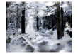 Fototapeet - Winter forest hind ja info | Fototapeedid | hansapost.ee