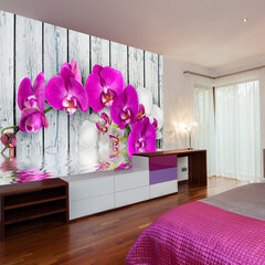 Fototapeet - Violet orchids with water reflexion hind ja info | Fototapeedid | hansapost.ee