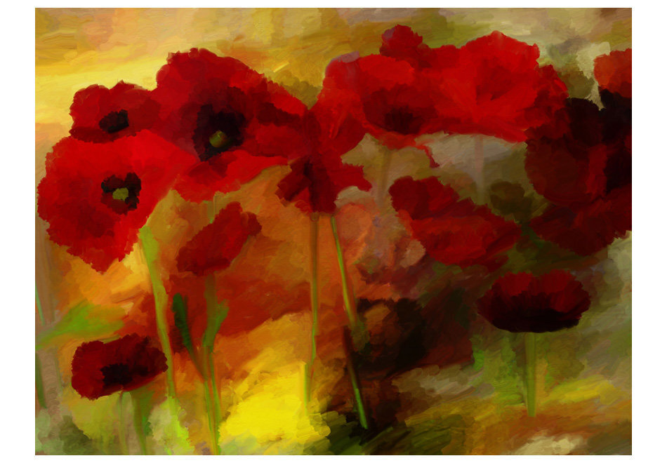 Fototapeet - Poppies in warm tone hind ja info | Fototapeedid | hansapost.ee