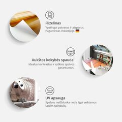 Fototapeet - geography in polish цена и информация | Фотообои | hansapost.ee