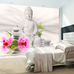Fototapeet - Buddha and Orchids hind ja info | Fototapeedid | hansapost.ee