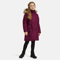 Зимняя куртка Huppa для девочки Mona 2, 300 г, бордовый цена и информация | Зимняя одежда для детей | hansapost.ee