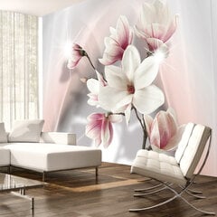 Fototapeet - White magnolias цена и информация | Фотообои | hansapost.ee