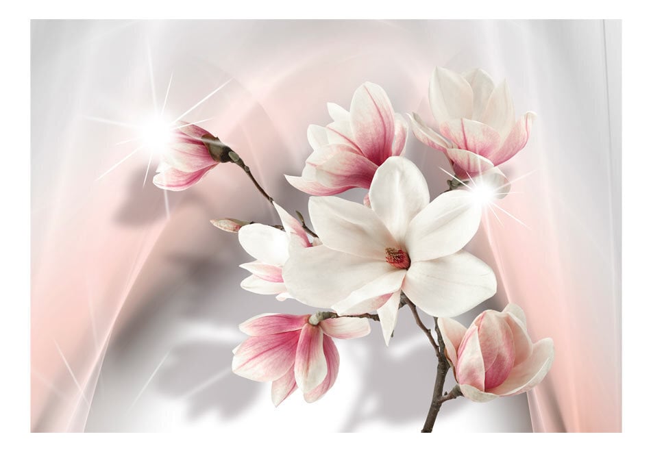 Fototapeet - White magnolias hind ja info | Fototapeedid | hansapost.ee