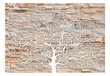 Fototapeet - Stone Tree hind ja info | Fototapeedid | hansapost.ee